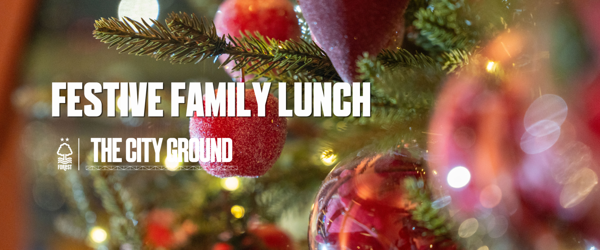 Festive Family Lunch